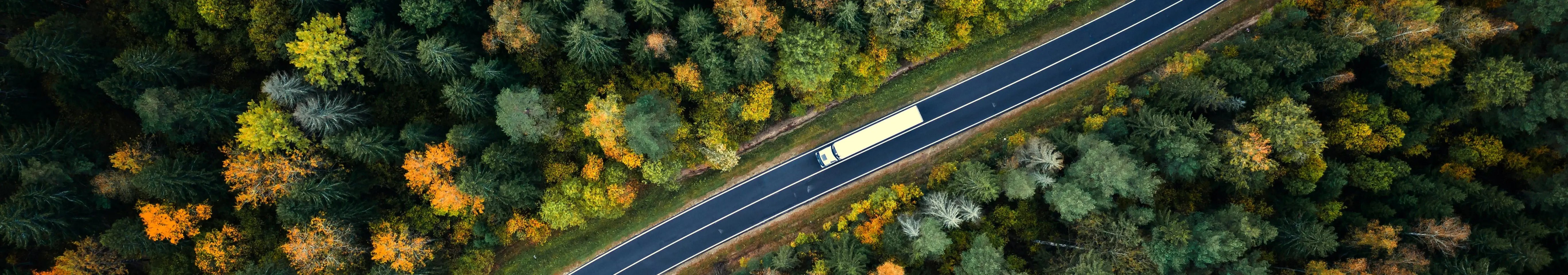 Camion dans forêt - TMS Conformité transport